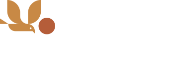 Gaivota Suítes